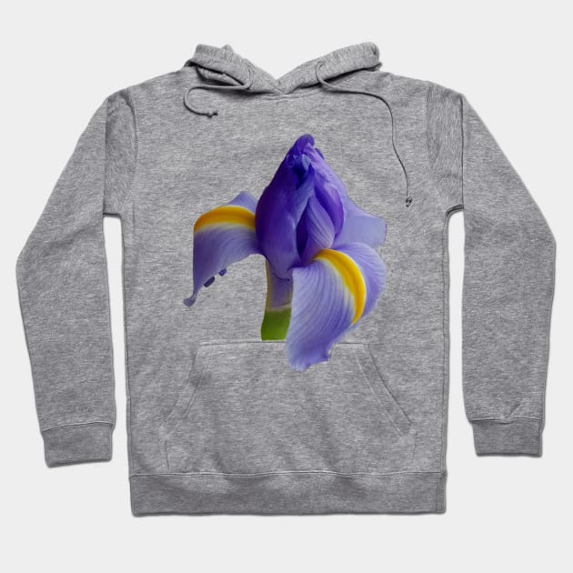 Blue Iris Floral Photo Hoodie by ellenhenryart